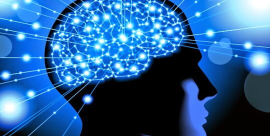 autovindecare, neurobiologie, retele neuronale, sinapse. dezvoltare